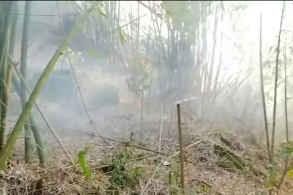 202504251449526685.jpg 微信圖片_20250425100424.jpg